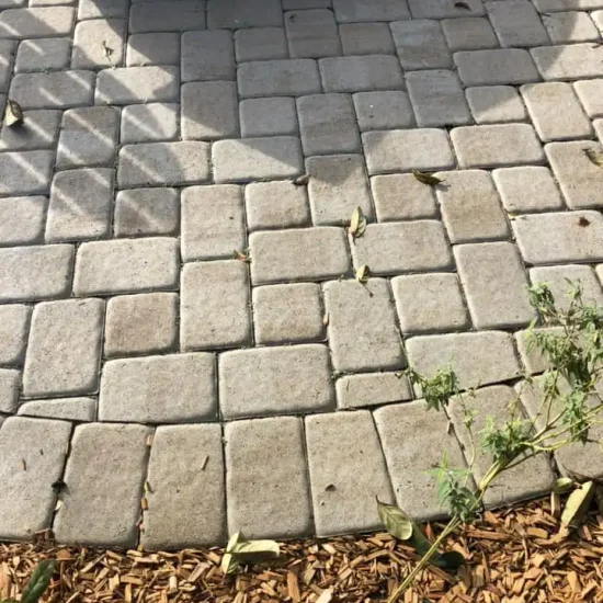 486692132_1281409383984519_5034488298695354871_n