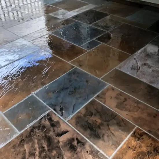 96359374_1168027690205868_7597459283021660160_n